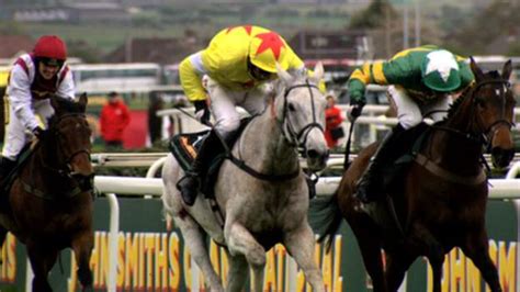 horse racing - bbc sport